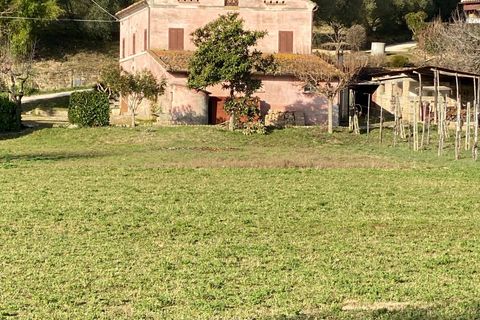 Villa a Falerone, Fermo, Falerone - € 110.000 | Ref: MG2143 - foto 3