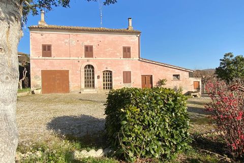Villa a Falerone, Fermo, Falerone - € 110.000 | Ref: MG2143 - foto 16