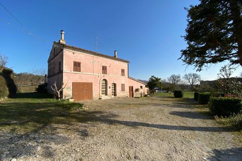 Villa a Falerone, Fermo, Falerone - € 110.000 | Ref: MG2143 - foto 31