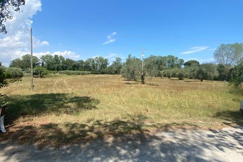 Tomt i Fermo, Fermo, Fermo - € 55 000 | Ref: MG2186 - foto 6