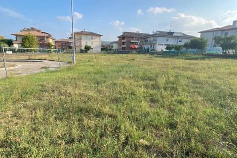 Terra a Montegiorgio, Fermo, Montegiorgio - € 184.000 | Ref: MG2194 - foto 2