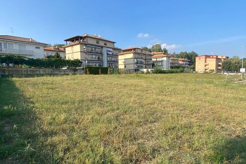 Terra a Montegiorgio, Fermo, Montegiorgio - € 184.000 | Ref: MG2194 - foto 5