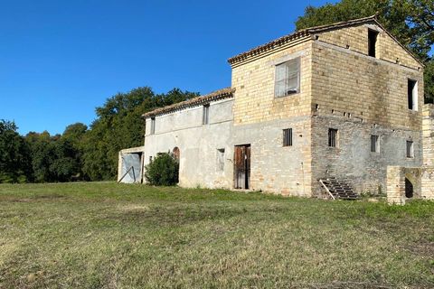 Villa a Montegiorgio, Fermo, Montegiorgio - € 220.000 | Ref: MG2204 - foto 3