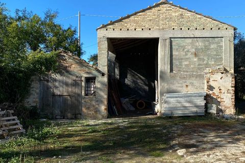 Villa a Montegiorgio, Fermo, Montegiorgio - € 385.000 | Ref: MG2205 - foto 10