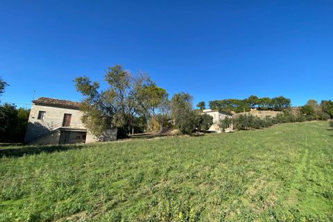 Villa a Montegiorgio, Fermo, Montegiorgio - € 385.000 | Ref: MG2205 - foto 18