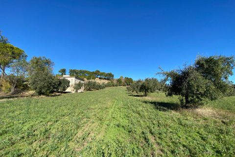 Villa a Montegiorgio, Fermo, Montegiorgio - € 385.000 | Ref: MG2205 - foto 22
