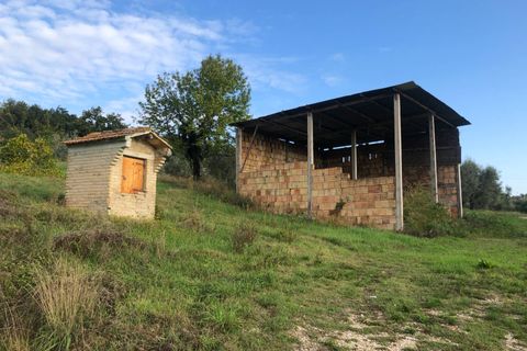 Villa a Falerone, Fermo, Falerone - € 130.000 | Ref: MG2221 - foto 4