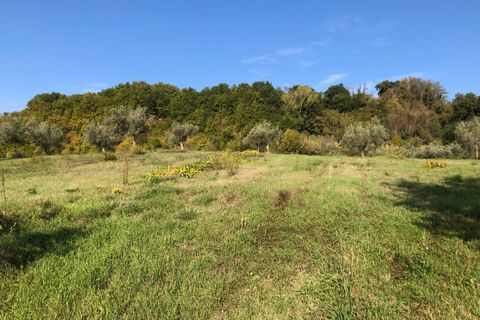 Villa a Falerone, Fermo, Falerone - € 130.000 | Ref: MG2221 - foto 23