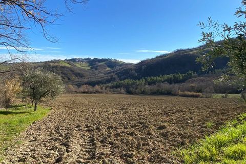 Villa i Montegiorgio, Fermo, Montegiorgio - € 125.000 | Ref: MG2226 - foto 10