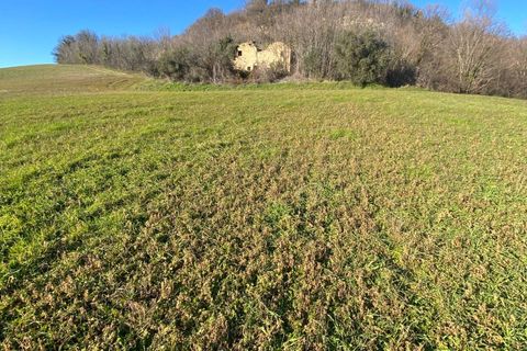 Villa i Montegiorgio, Fermo, Montegiorgio - € 125.000 | Ref: MG2226 - foto 14