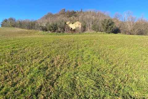 Villa i Montegiorgio, Fermo, Montegiorgio - € 125.000 | Ref: MG2226 - foto 15