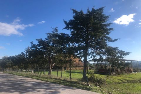 Villa i Loro Piceno, Macerata, Loro Piceno - € 165.000 | Ref: MG2247 - foto 20