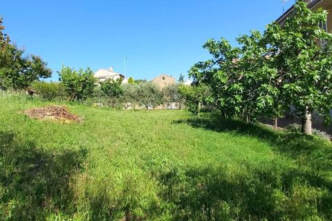 Villa i Montappone, Fermo, Montappone - € 120.000 | Ref: MG2256 - foto 25