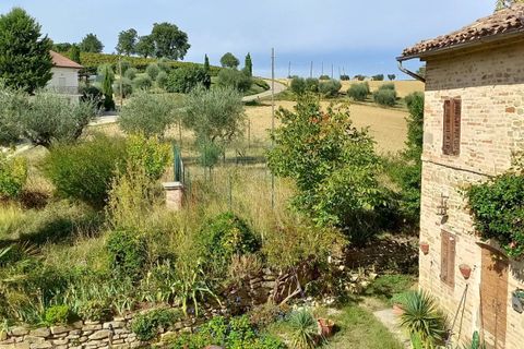 Villa a Servigliano, Fermo, Servigliano - € 290.000 | Ref: MG2239 - foto 22