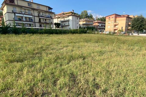 Terra a Montegiorgio, Fermo, Montegiorgio - € 45.000 | Ref: MG2282 - foto 4