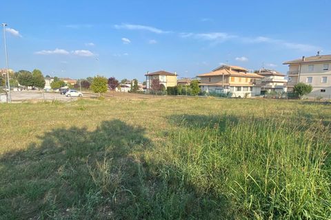 Terra a Montegiorgio, Fermo, Montegiorgio - € 45.000 | Ref: MG2282 - foto 6