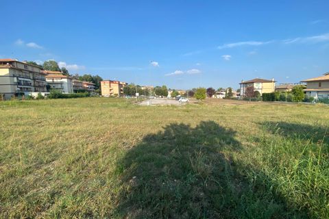 Terra a Montegiorgio, Fermo, Montegiorgio - € 45.000 | Ref: MG2282 - foto 7