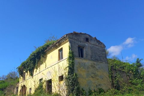 Villa i Montegiorgio, Fermo, Montegiorgio - € 85.000 | Ref: MG2301 - foto 3