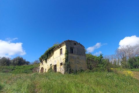 Villa i Montegiorgio, Fermo, Montegiorgio - € 85.000 | Ref: MG2301 - foto 4