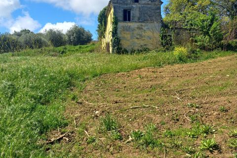 Villa i Montegiorgio, Fermo, Montegiorgio - € 85.000 | Ref: MG2301 - foto 5