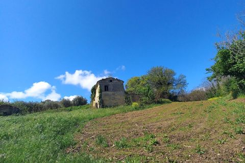 Villa i Montegiorgio, Fermo, Montegiorgio - € 85.000 | Ref: MG2301 - foto 6