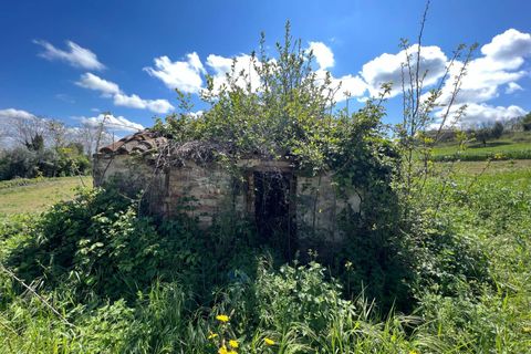 Villa i Montegiorgio, Fermo, Montegiorgio - € 85.000 | Ref: MG2301 - foto 7