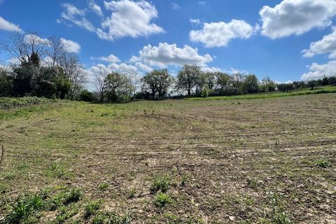 Villa i Montegiorgio, Fermo, Montegiorgio - € 85.000 | Ref: MG2301 - foto 8