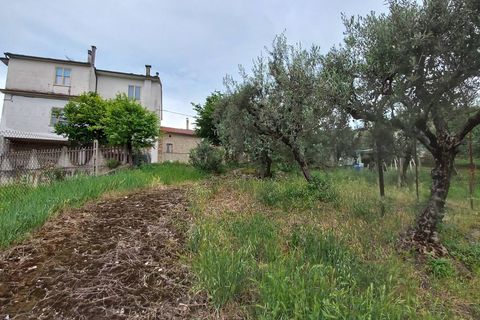 Villa i Massa Fermana, Fermo, Massa Fermana - € 45.000 | Ref: MG2320 - foto 3