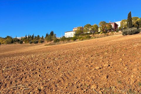 Terra a Monte Urano, Fermo, Monte Urano - € 43.000 | Ref: MG2195 - foto 2