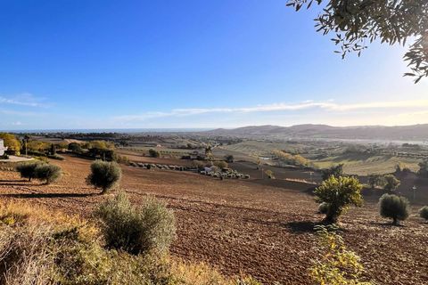 Terra a Monte Urano, Fermo, Monte Urano - € 43.000 | Ref: MG2195 - foto 3
