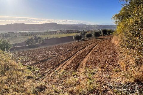 Terra a Monte Urano, Fermo, Monte Urano - € 43.000 | Ref: MG2195 - foto 4