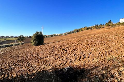 Terra a Monte Urano, Fermo, Monte Urano - € 43.000 | Ref: MG2195 - foto 6