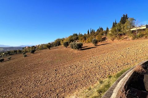 Terra a Monte Urano, Fermo, Monte Urano - € 43.000 | Ref: MG2195 - foto 7