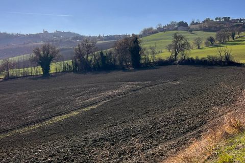 Villa a Montegiorgio, Fermo, Montegiorgio - € 175.000 | Ref: MG2209 - foto 14