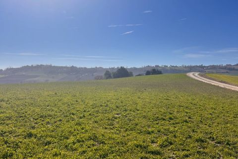 Terra a Recanati, Macerata, Recanati - € 370.000 | Ref: MG2228 - foto 2