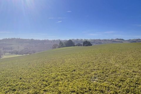 Terra a Recanati, Macerata, Recanati - € 370.000 | Ref: MG2228 - foto 4