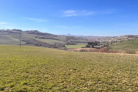Terra a Recanati, Macerata, Recanati - € 370.000 | Ref: MG2228 - foto 5