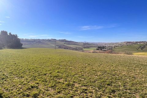 Terra a Recanati, Macerata, Recanati - € 370.000 | Ref: MG2228 - foto 6