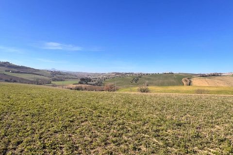 Terra a Recanati, Macerata, Recanati - € 370.000 | Ref: MG2228 - foto 7
