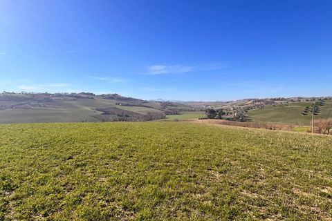 Terra a Recanati, Macerata, Recanati - € 370.000 | Ref: MG2228 - foto 8