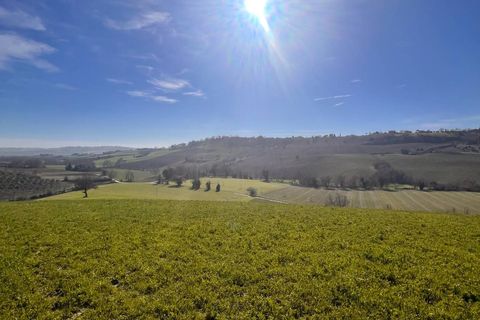 Terra a Recanati, Macerata, Recanati - € 370.000 | Ref: MG2228 - foto 9