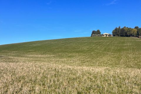 Terra a Recanati, Macerata, Recanati - € 370.000 | Ref: MG2228 - foto 10