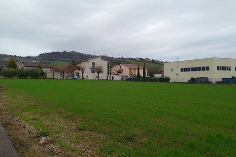 Terra a Falerone, Fermo, Falerone - € 78.000 | Ref: MG2235 - foto 2