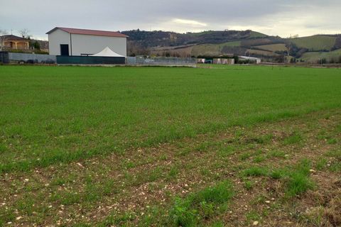 Terra a Falerone, Fermo, Falerone - € 78.000 | Ref: MG2235 - foto 3