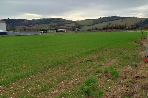 Terra a Falerone, Fermo, Falerone - € 78.000 | Ref: MG2235 - foto 4