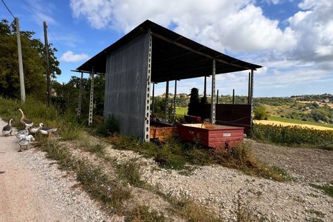 Villa a Petritoli, Fermo, Petritoli - € 180.000 | Ref: MG2305 - foto 13