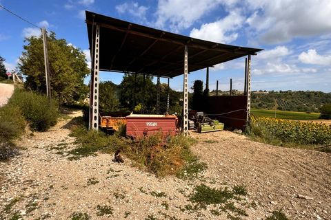 Villa a Petritoli, Fermo, Petritoli - € 180.000 | Ref: MG2305 - foto 15