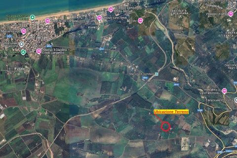 Helårsgrund i Ischitella, Foggia, Ischitella - € 19.000 | Ref: V000734 - foto 2