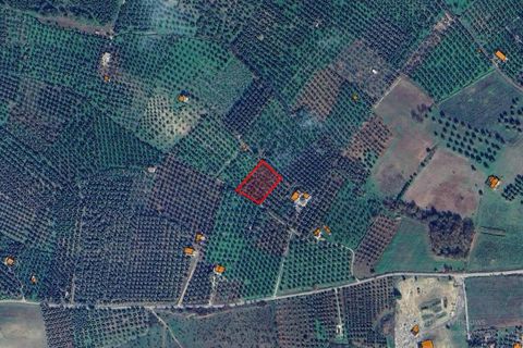 Helårsgrund i Ischitella, Foggia, Ischitella - € 19.000 | Ref: V000734 - foto 3