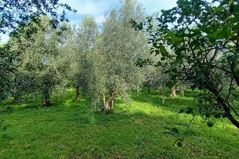 Helårsgrund i Ischitella, Foggia, Ischitella - € 19.000 | Ref: V000734 - foto 12